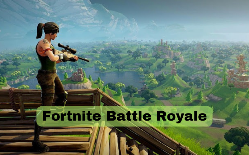 Fortnite Battle Royale: A Detailed Look