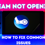 Steam Not Opening